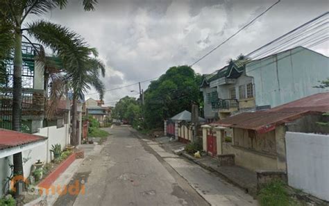House and Lots in Natividad Subdivision .